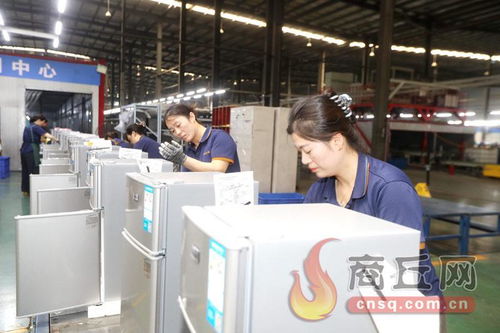 科技賦能，技術開發驅動冷產業轉型升級新篇章